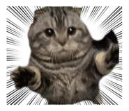 839669726