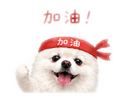 839669986