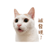 839670350