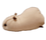 839671138
