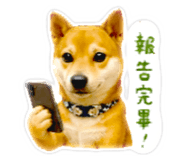839671245
