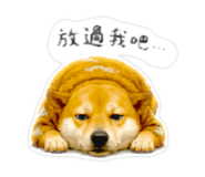 839671254