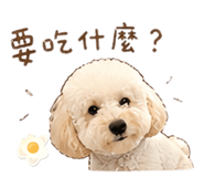 839671338