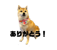 839671551
