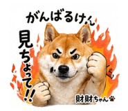 839671668