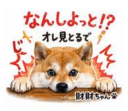 839671677