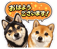 839672226