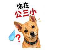 839672323