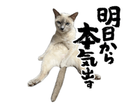 839672460