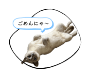 839672463
