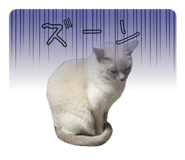 839672467