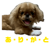 839672658