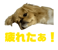 839672662