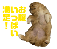 839672663