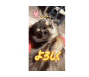 839672797