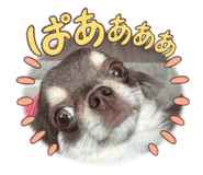 839672812