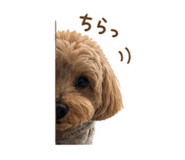 839673256