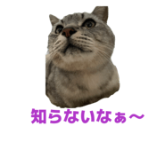 839673325