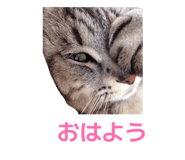 839673328