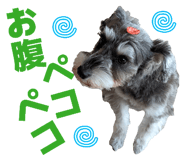 839673432