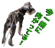 839673438