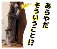 839673448