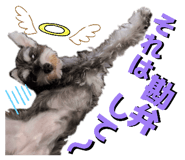 839673450