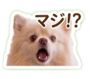 839673621