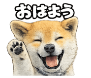 839673841