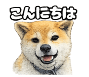 839673842