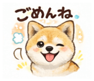 839674062