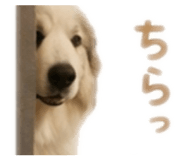 839674295