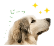 839674296