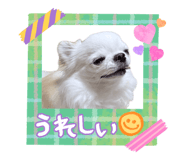 839674585