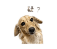 839675139