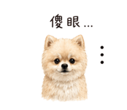 839675424