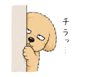 839676204