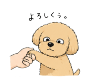 839676205