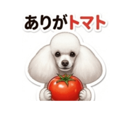 839676315