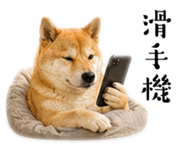 839676508