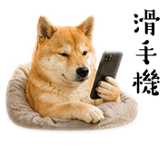 839676508