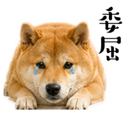 839676512