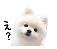 839676522