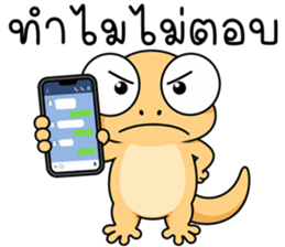 ลายที่ 23