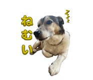 839676796