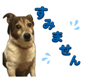 839676800