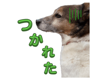 839676803