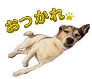 839676804
