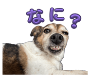 839676805