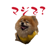 839677210